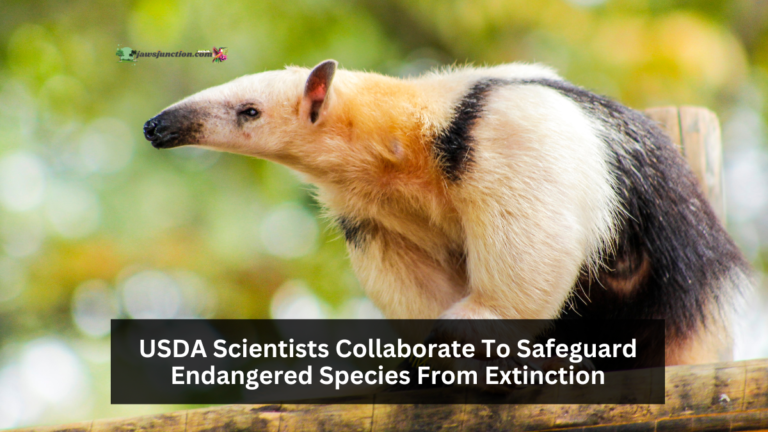 USDA Scientists Collaborate To Safeguard Endangered Species From Extinction